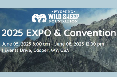 More Info for Wyoming Wild Sheep Foundation 2025 Expo & Convention